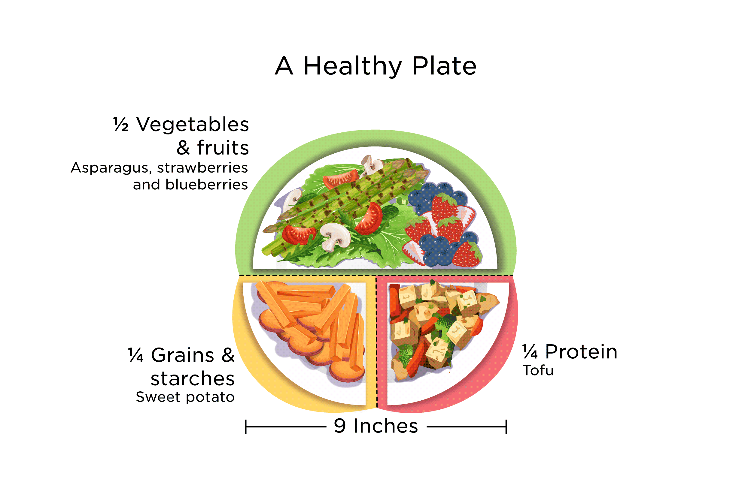 The Healthy Plate | My Doctor Online