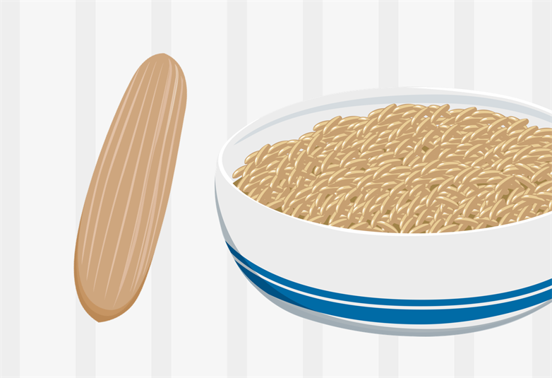 Your developing baby – week 5 | My Doctor Online