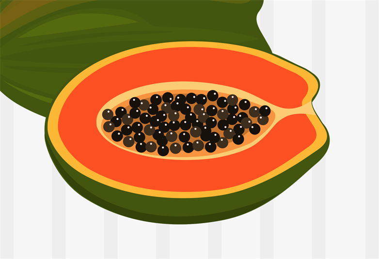 Your developing baby week 25 My Doctor Online