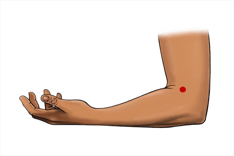 Distal Acupuncture Points for hip, knee, ankle, and foot